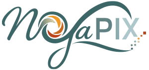 NoyaPix – Kişiye Özel Fotoğraf Baskı ve Hediyelik Ürünler - Anılarınızı özenle baskıya dönüştürüyoruz.